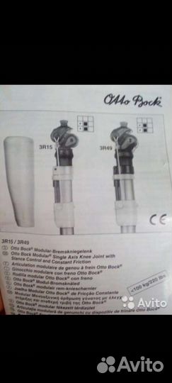 Коленный сустав