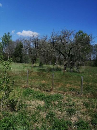 Участок 80 сот. (ИЖС)