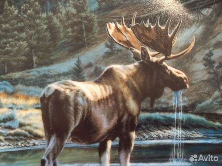 Декоративная тарелка Дикий и Свободный