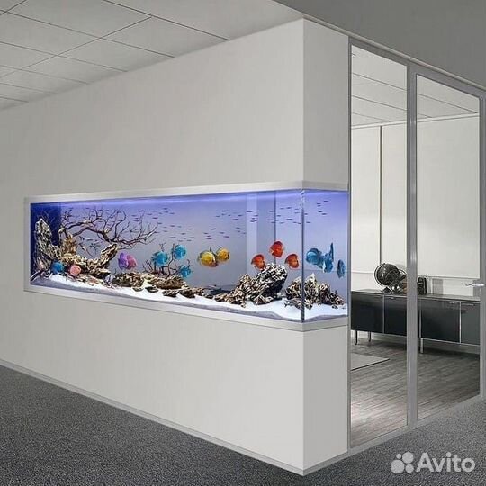 Чистка, обслуживание Аквариумов и Прудов