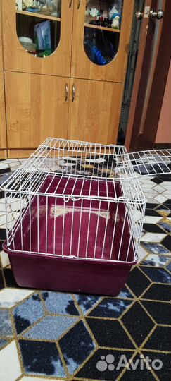 Клетка средняя