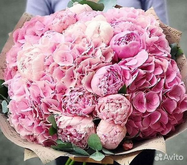 Пионы Букет пионов