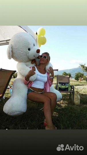 Плюшевый медведь