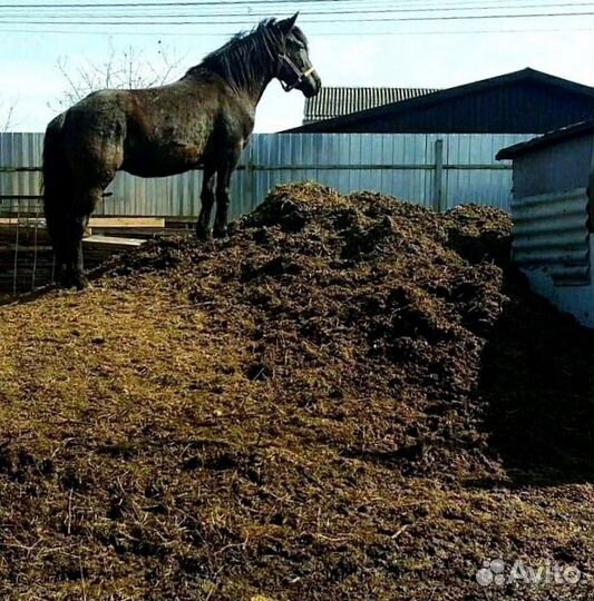 Навоз, перегной, чернозём, песок, щебень