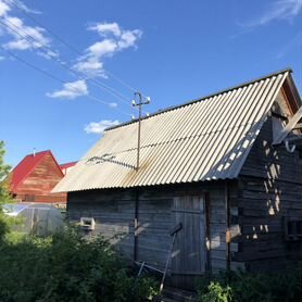 Гусак электрический для дачи,загородного дома