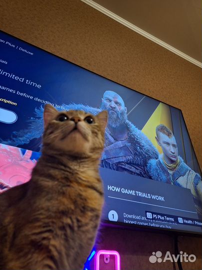 Подписка PlayStation plus 12 мес