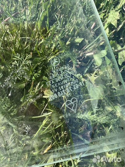 Стекла дверные mercedes w123