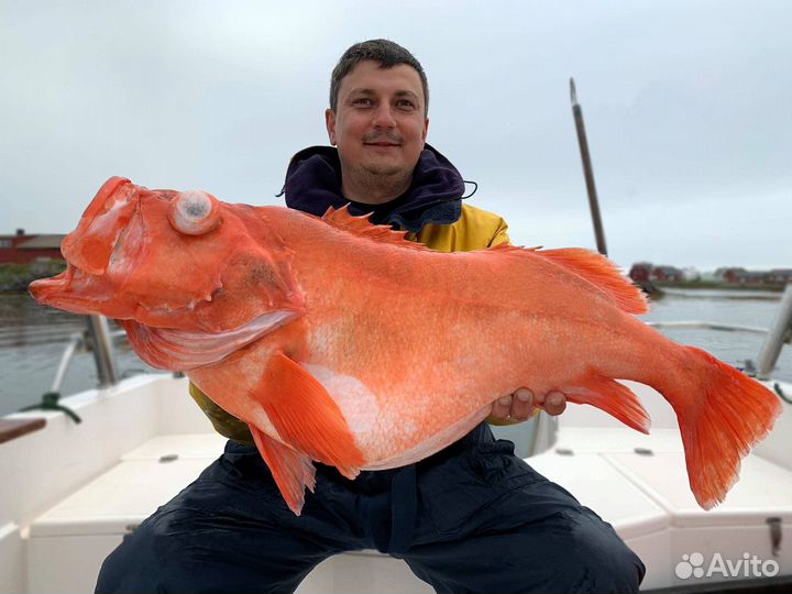 Индивидуальная морская рыбалка. Камчатка