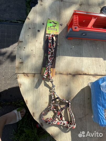 Поводки и ошейники