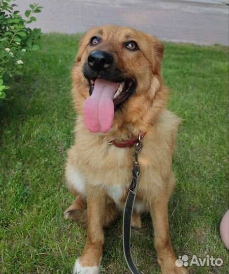 Белочка 1 годик