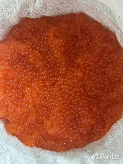 Икра красная соленая горбуша, кета