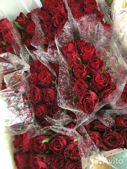 Букет роз. Розы