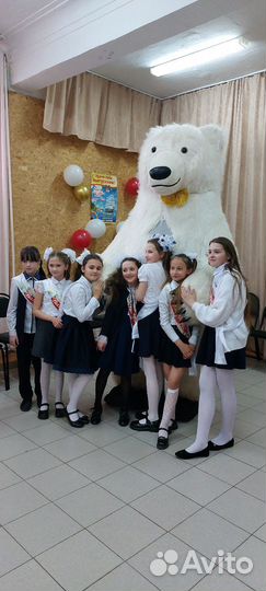 Экспресс- поздравление Белый мишка, Зайка, Вахтанг