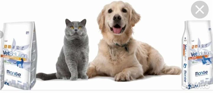 Корм для собак и кошек