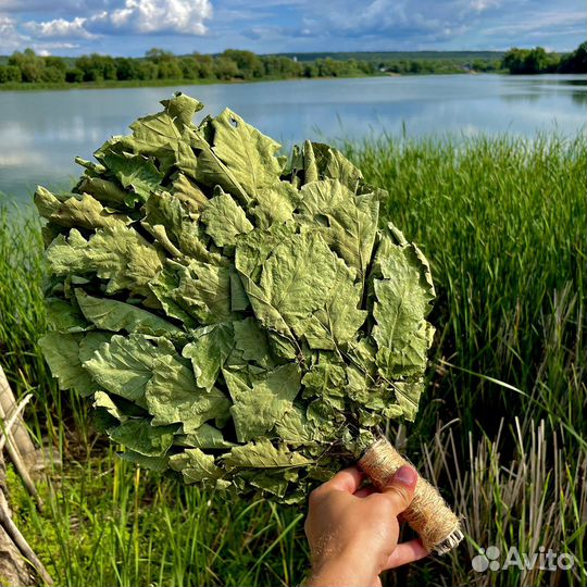 Краснодарские дубовые веники для бани