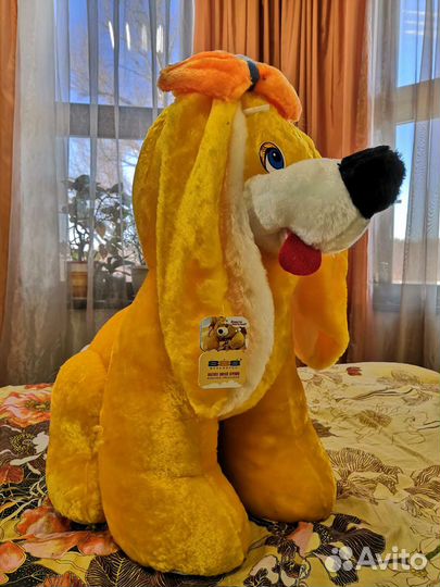 Собака Дина