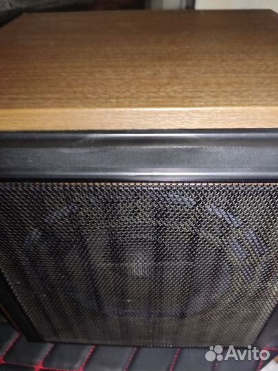 Акустические колонки Маяк-222ас -10гдш