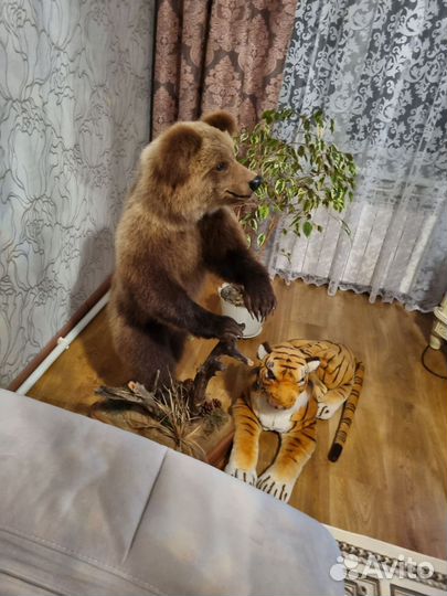 Таксодермия