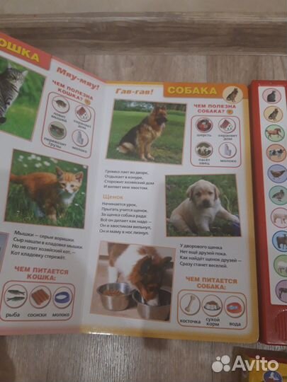 Книги детские развивающие