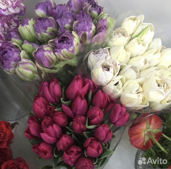 Тюльпаны букет цветов