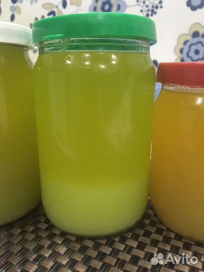 Жир сурка-байбака