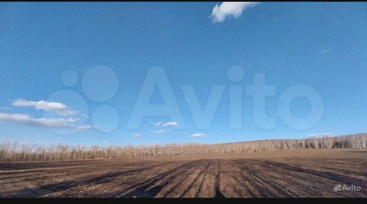 Участок 5,1 га (СНТ, ДНП)