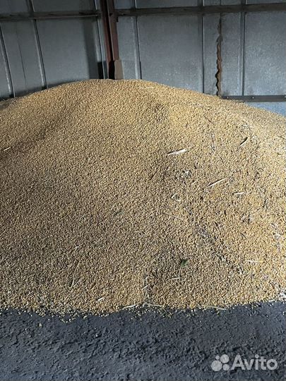 Мясо домашнего бройлера