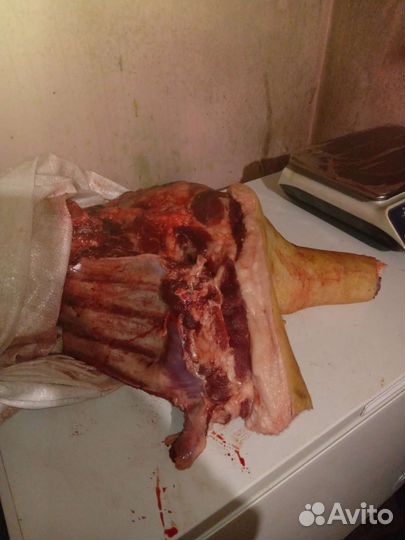 Мясо свинина