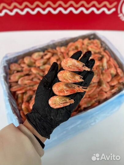 Северная креветка 90 120