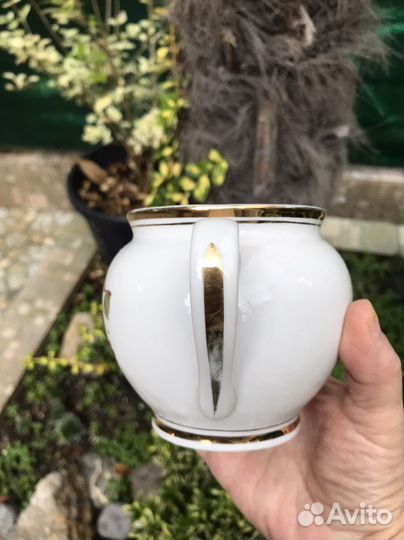 Молочник Сливочник Редкий