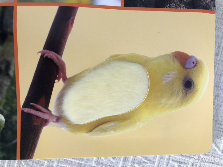 Детские книги на немецком языке