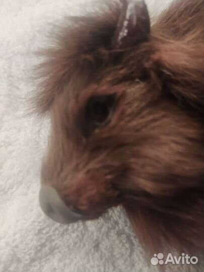 Фигурка Зубр