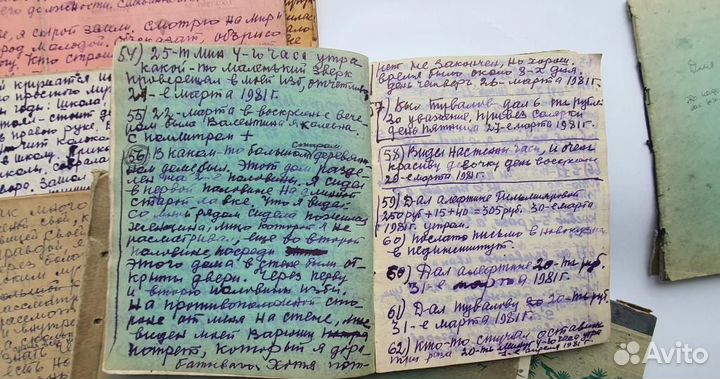 Дневники всемирно известного художника Селиванова