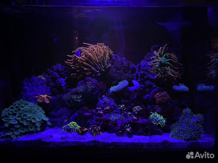 Морской аквариум 57л
