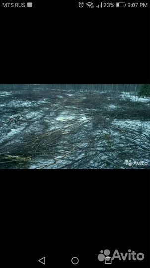 Вырубка участков