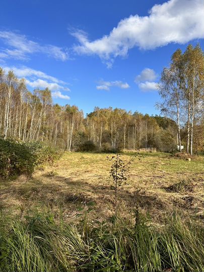 Участок 10 сот. (ИЖС)