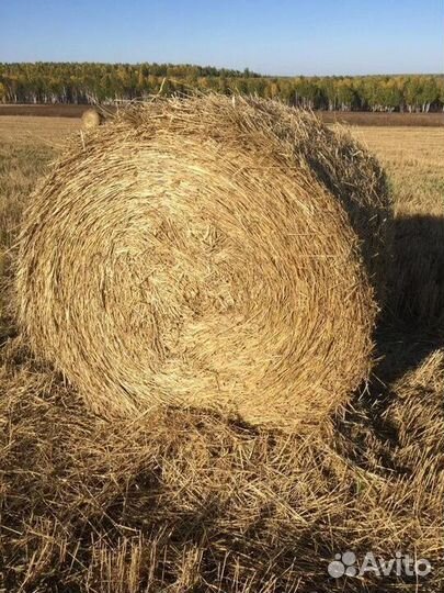Солома в рулонах