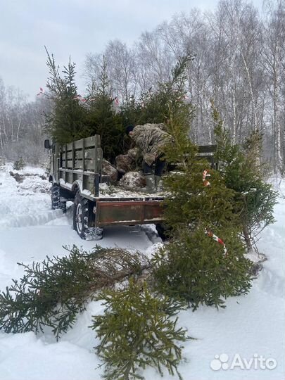 Аренда газ 66 вездеход