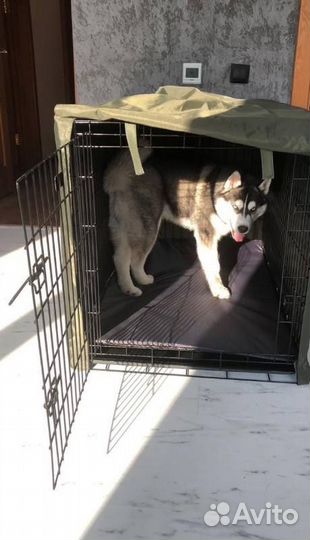 Чехлы на клетки Бесплатная доставка по Кирову