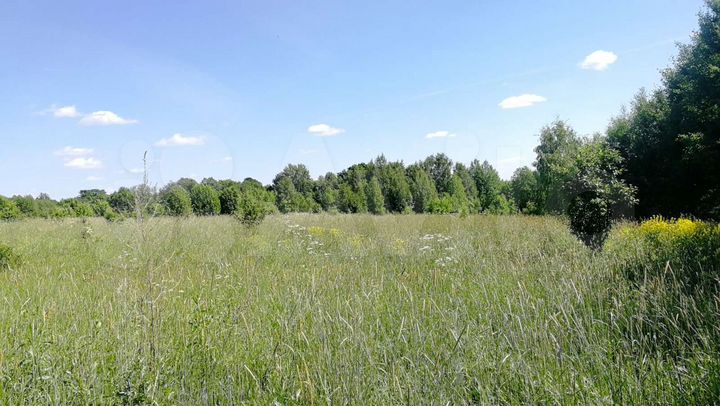 Участок 1,27 га (ИЖС)