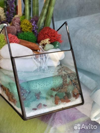 Живые суккуленты в вазе Композиция флорариум