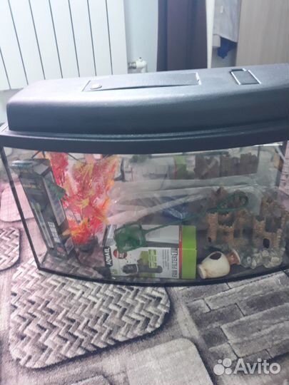 Аквариум 55л