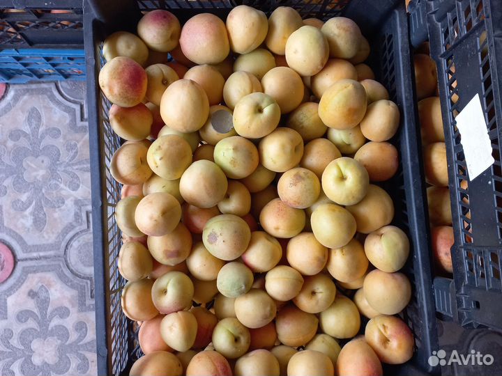 Абрикос свежий местный