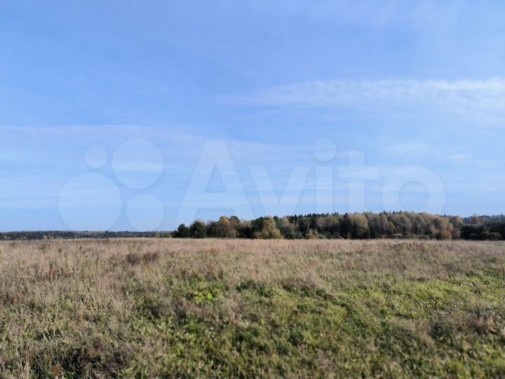 Участок 140 га (СНТ, ДНП)