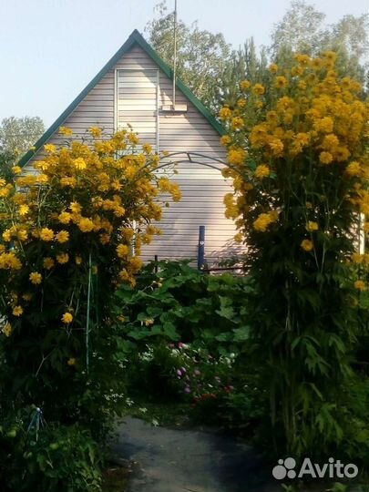 Золотой шар