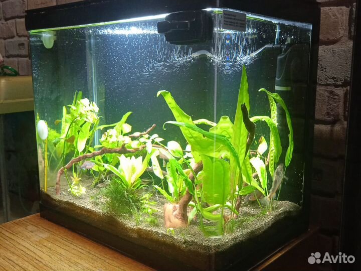 Украшение для аквариума