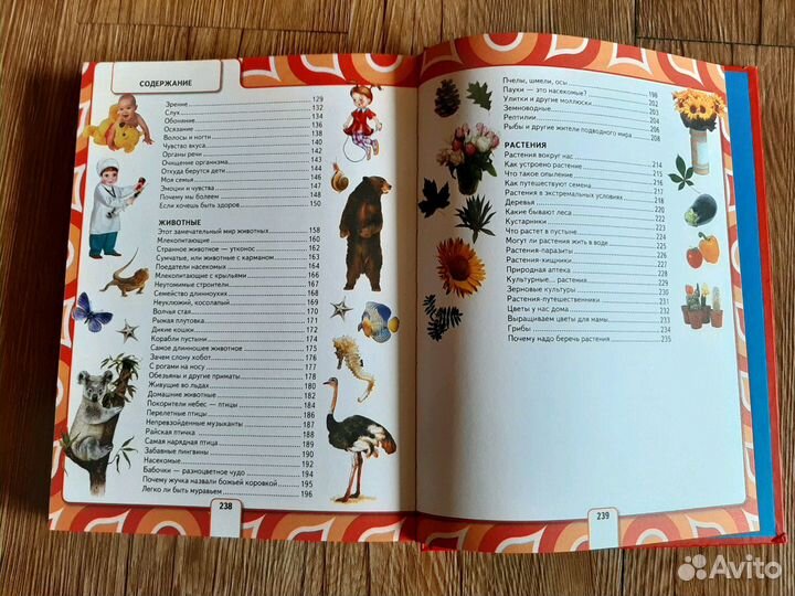 Энциклопедия для детей