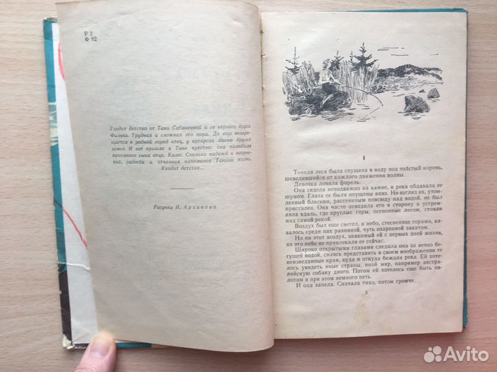 Дикая собака динго 1963 г