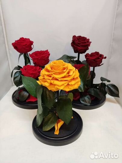 Стабилизированная роза в колбе