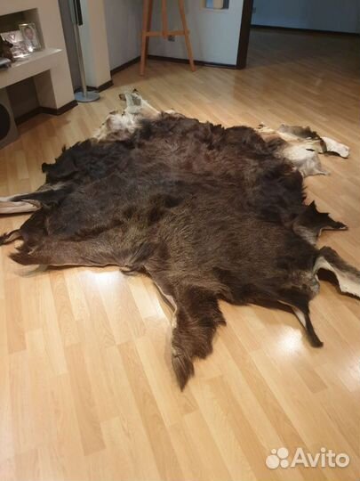 Ковер новый